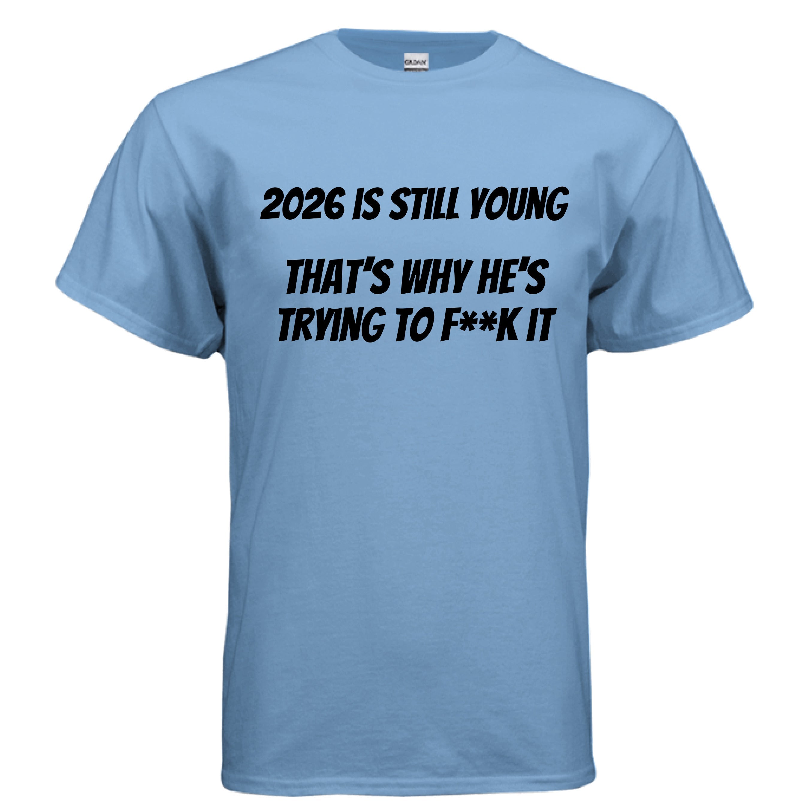 2026 - Wiseasstees, LLC